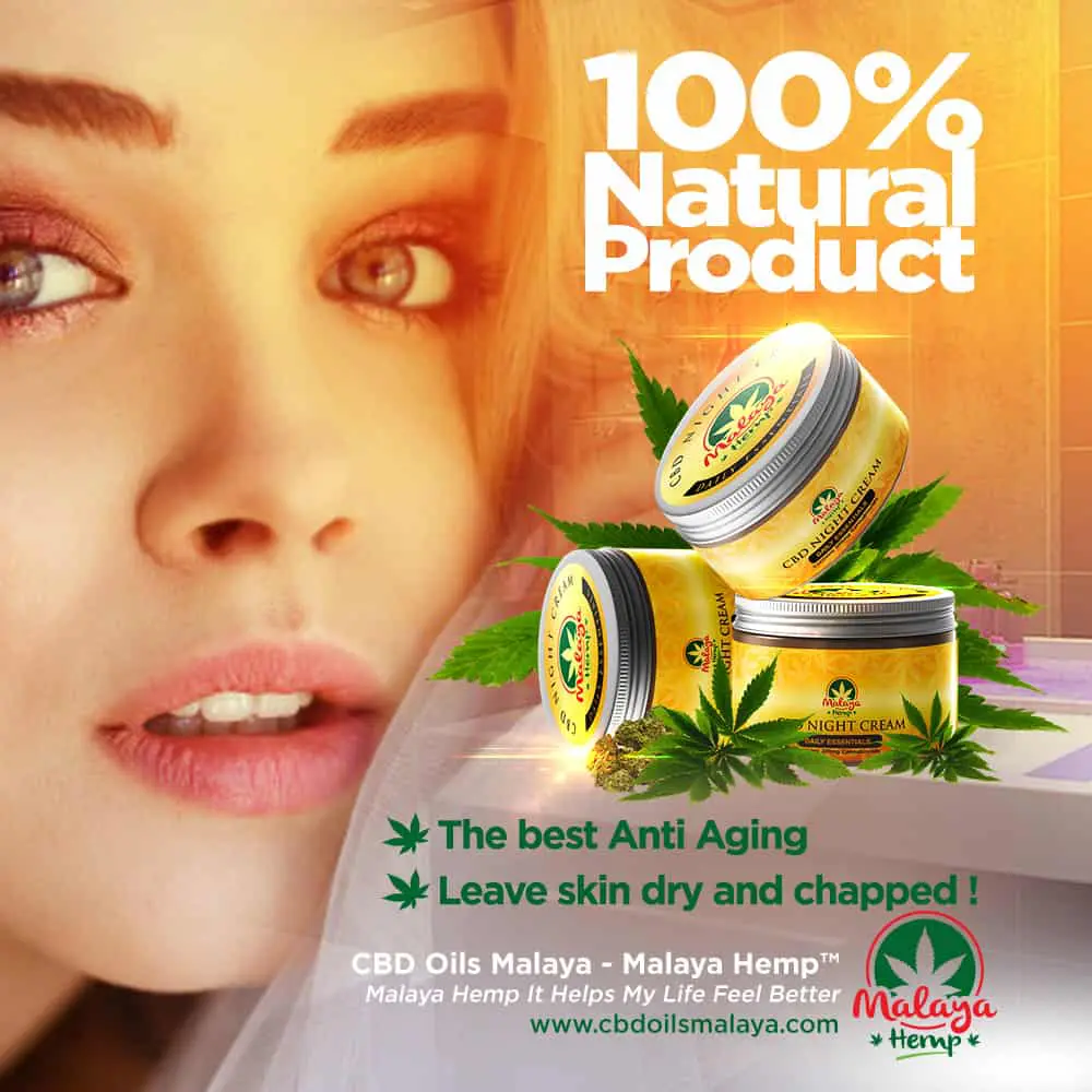 Malaya Hemp™ CBD Night Cream - 300mg - Image 3