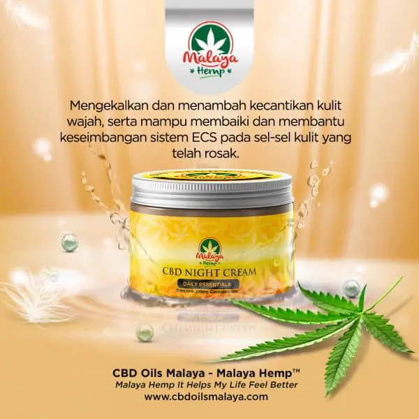 Malaya Hemp™ CBD Night Cream - 300mg - Image 2