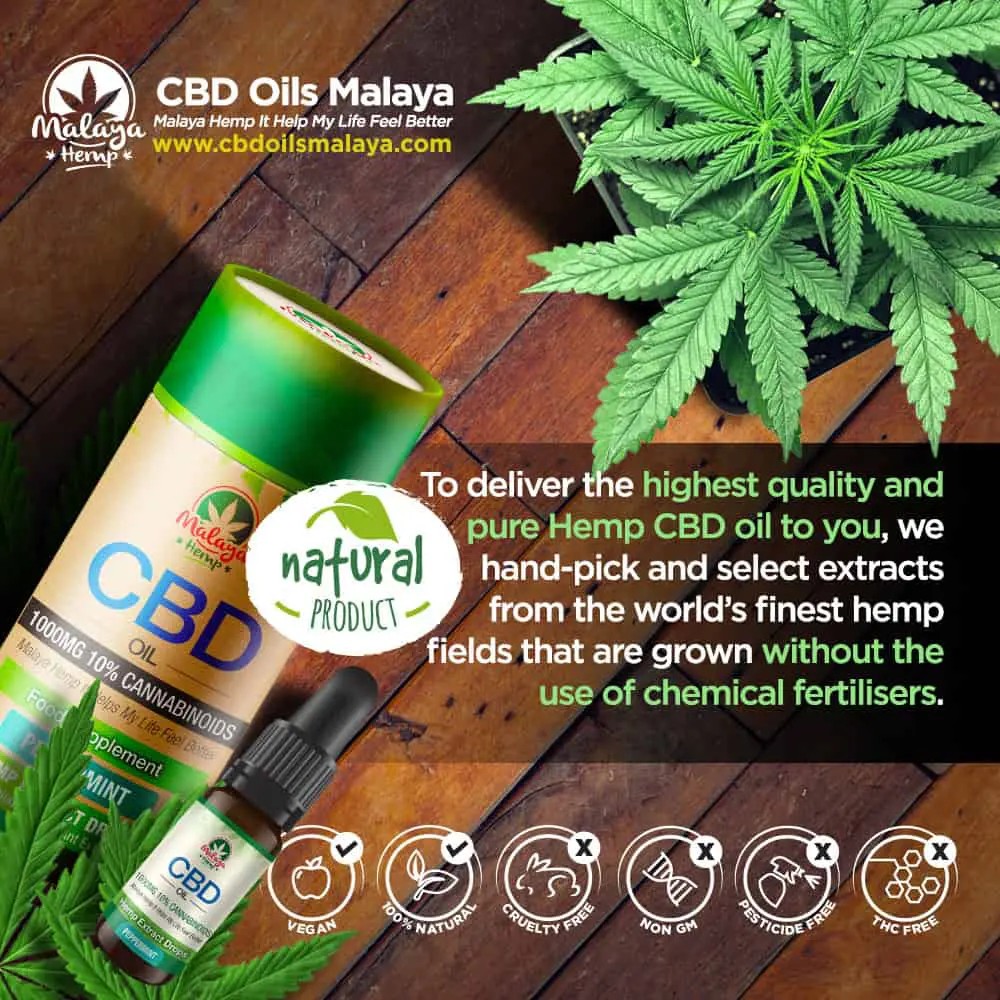 CBD Oils